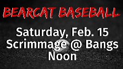 Bearcat Baseball